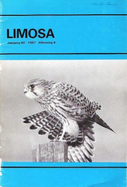 limosa 60.1 1987