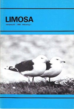 limosa 62.1 1989