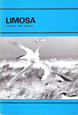 limosa 62.3 1989