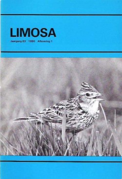 limosa 63.1 1990
