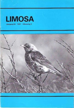 limosa 64.3 1991