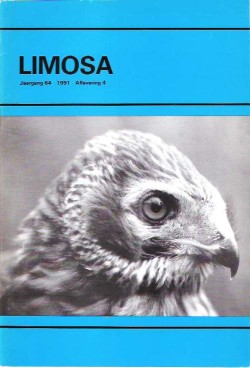 limosa 64.4 1991