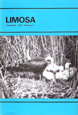 limosa 65.1 1992