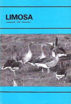 limosa 65.2 1992