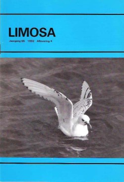 limosa 65.4 1992