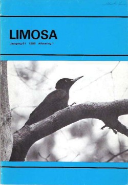 limosa 61.1 1988
