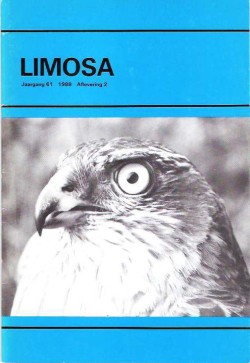 limosa 61.2 1988
