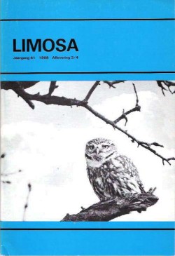 limosa 61.3 1988