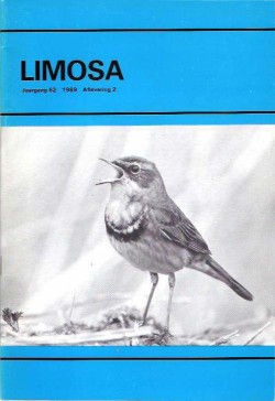 limosa 62.2 1989