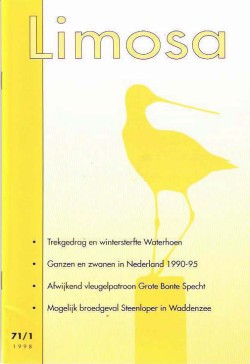 limosa 71.1 1998