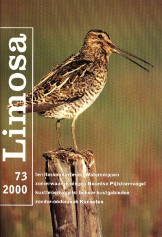 limosa 73.1 2000