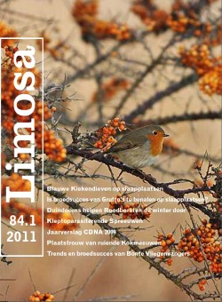 limosa 84.1 2011