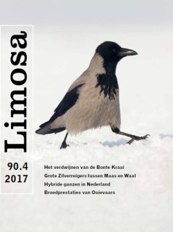 limosa 90.4 2017