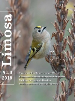 limosa 91.3 2018