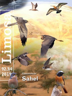 limosa 92.3 2019