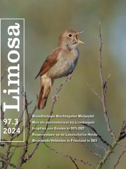 Limosa