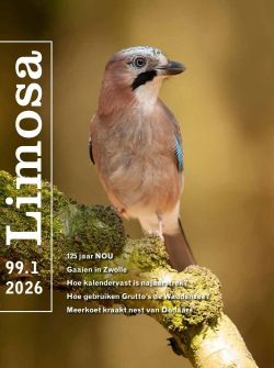 limosa 99.1 2026
